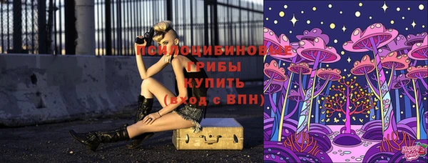 дживик Алексеевка