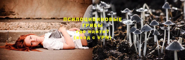 дживик Алексеевка
