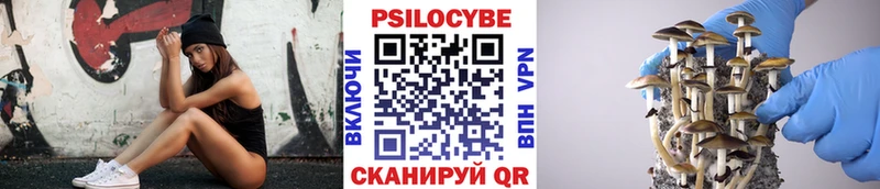 Галлюциногенные грибы Magic Shrooms  наркотики  Махачкала 